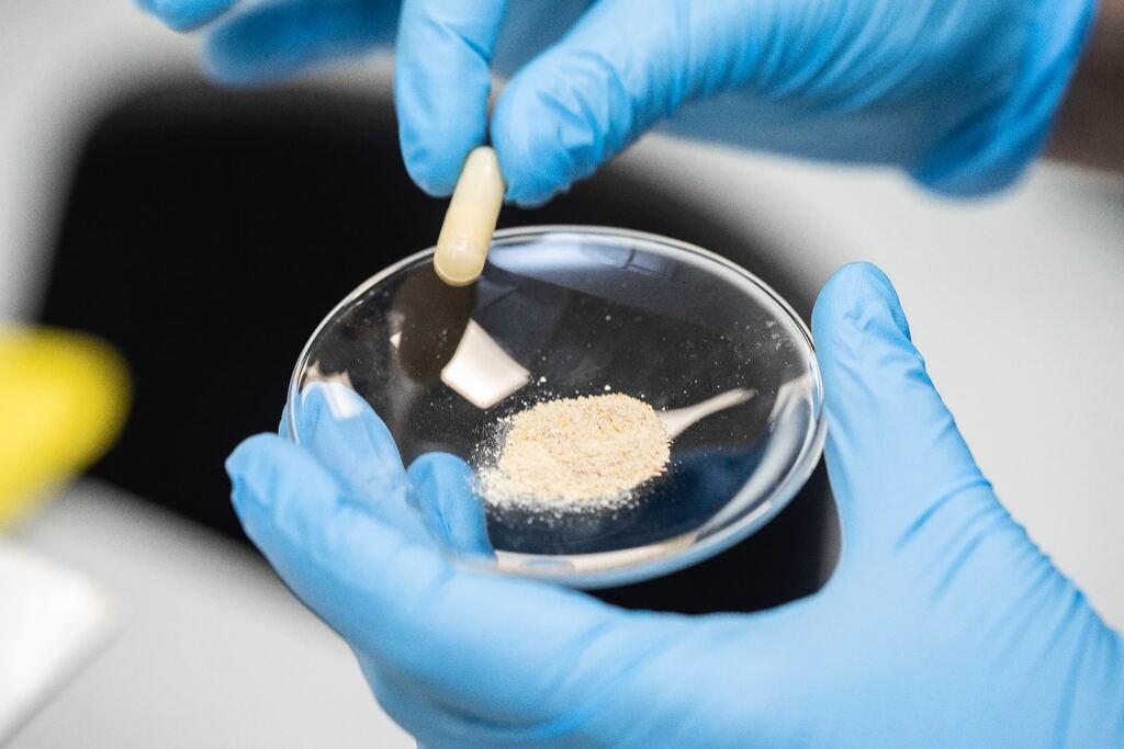 Gloved hands holding a single nootropic capsule over a dish of supplement powder in a pharmaceutical laboratory
